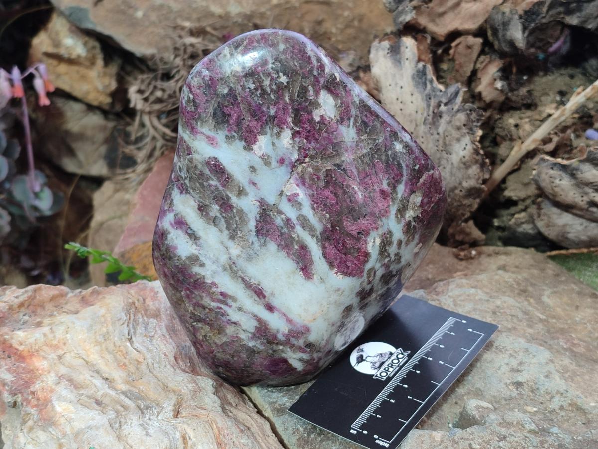 Polished Large Rubellite Pink Tourmaline Standing Display Piece x 1 From Ambatondrazaka, Madagascar