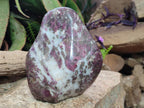 Polished Large Rubellite Pink Tourmaline Standing Display Piece x 1 From Ambatondrazaka, Madagascar