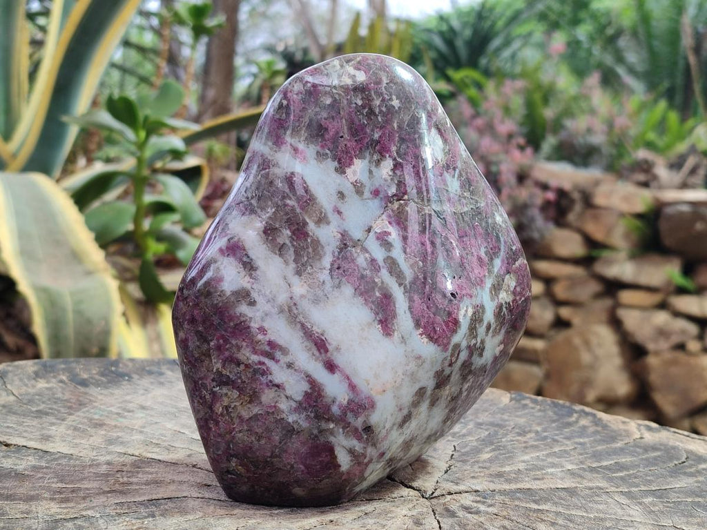 Polished Large Rubellite Pink Tourmaline Standing Display Piece x 1 From Ambatondrazaka, Madagascar