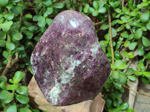 Polished Large Rubellite Pink Tourmaline Standing Display Piece x 1 From Ambatondrazaka, Madagascar