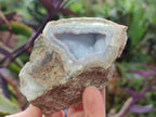 Polished One Side Blue Lace Agate Geodes x 6 From Nsanje, Malawi