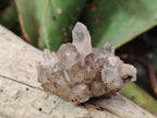 Natural Smokey Quartz Crystal Clusters x 21 From Khorixas, Namibia