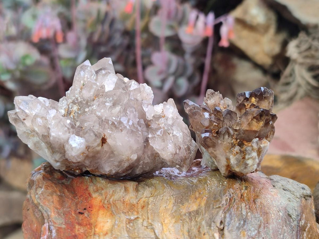 Natural Smokey Quartz Crystal Clusters x 21 From Khorixas, Namibia