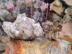 Natural Smokey Quartz Crystal Clusters x 21 From Khorixas, Namibia