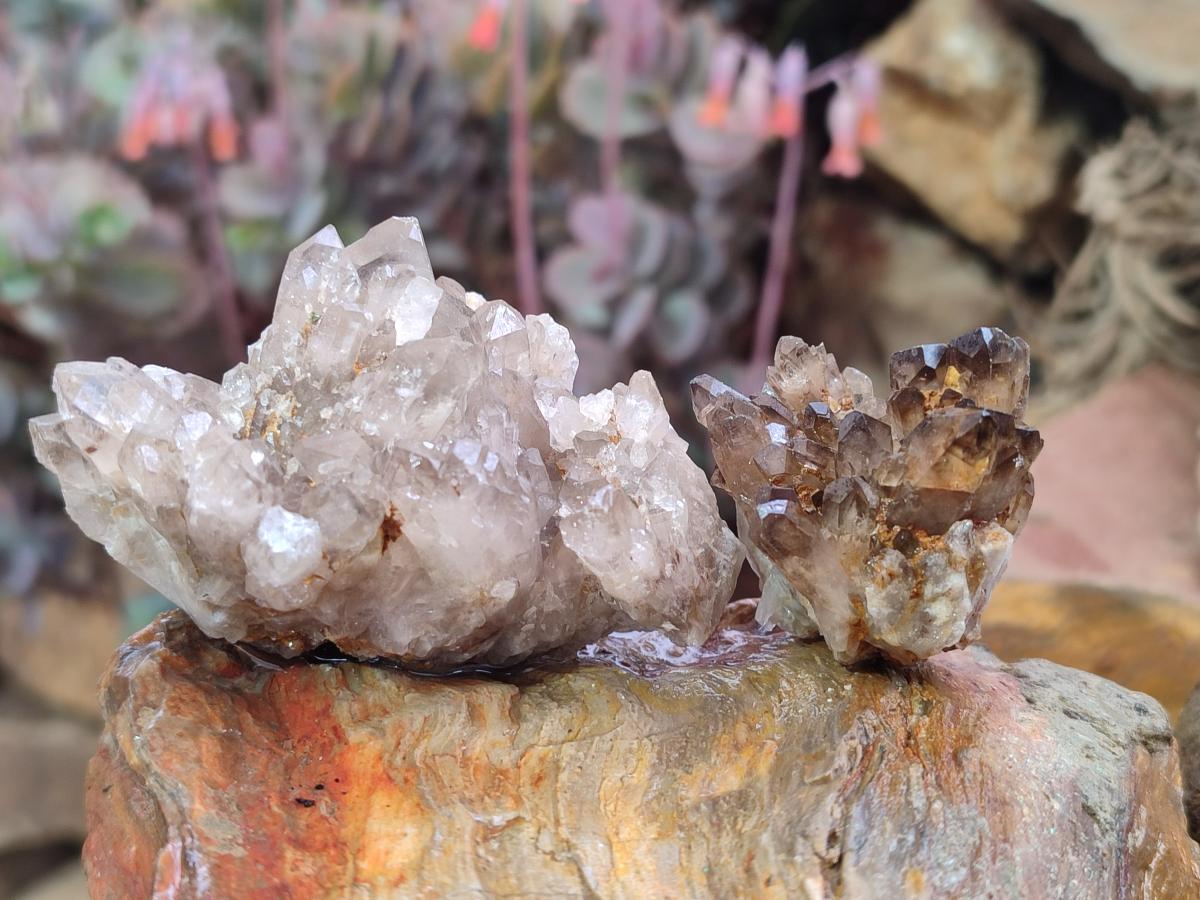 Natural Smokey Quartz Crystal Clusters x 21 From Khorixas, Namibia