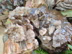 Natural Smokey Quartz Crystal Clusters x 21 From Khorixas, Namibia