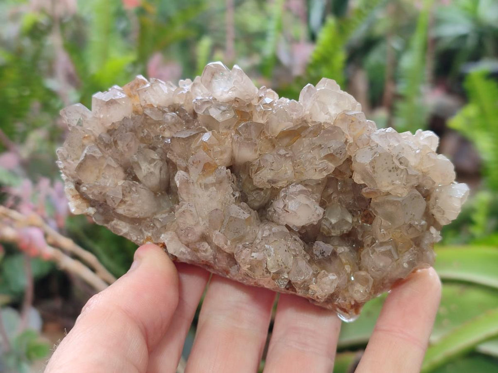 Natural Smokey Quartz Crystal Clusters x 21 From Khorixas, Namibia