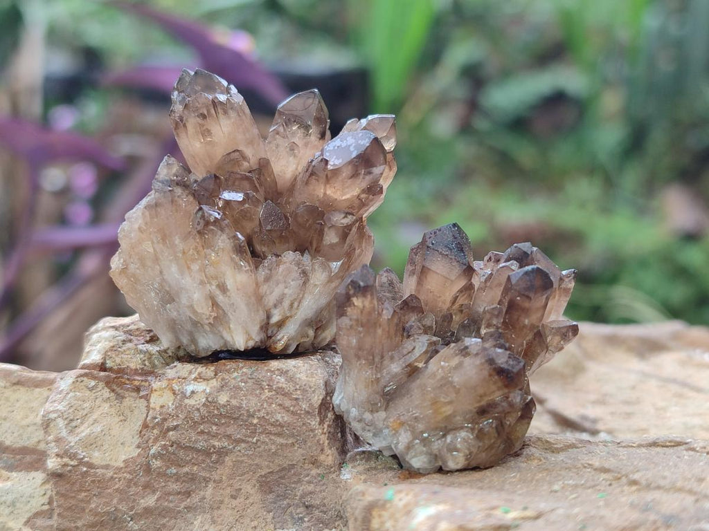Natural Smokey Quartz Crystal Clusters x 21 From Khorixas, Namibia