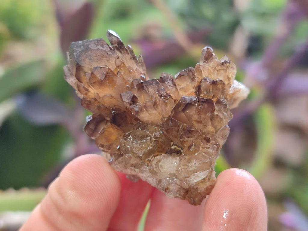 Natural Smokey Quartz Crystal Clusters x 21 From Khorixas, Namibia