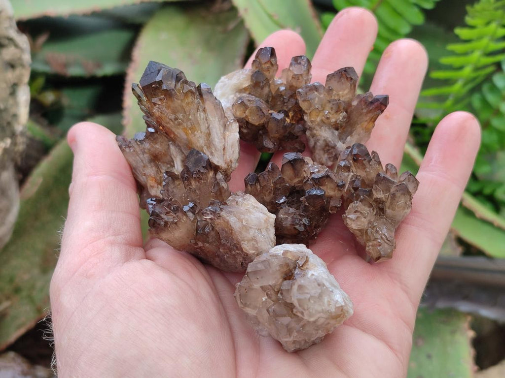Natural Smokey Quartz Crystal Clusters x 21 From Khorixas, Namibia