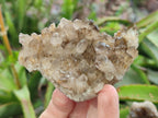 Natural Smokey Quartz Crystal Clusters x 21 From Khorixas, Namibia