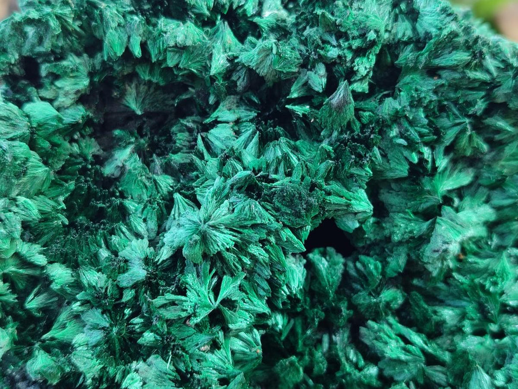Natural Large Silky Malachite Specimen x 1 From Kasompe, Congo