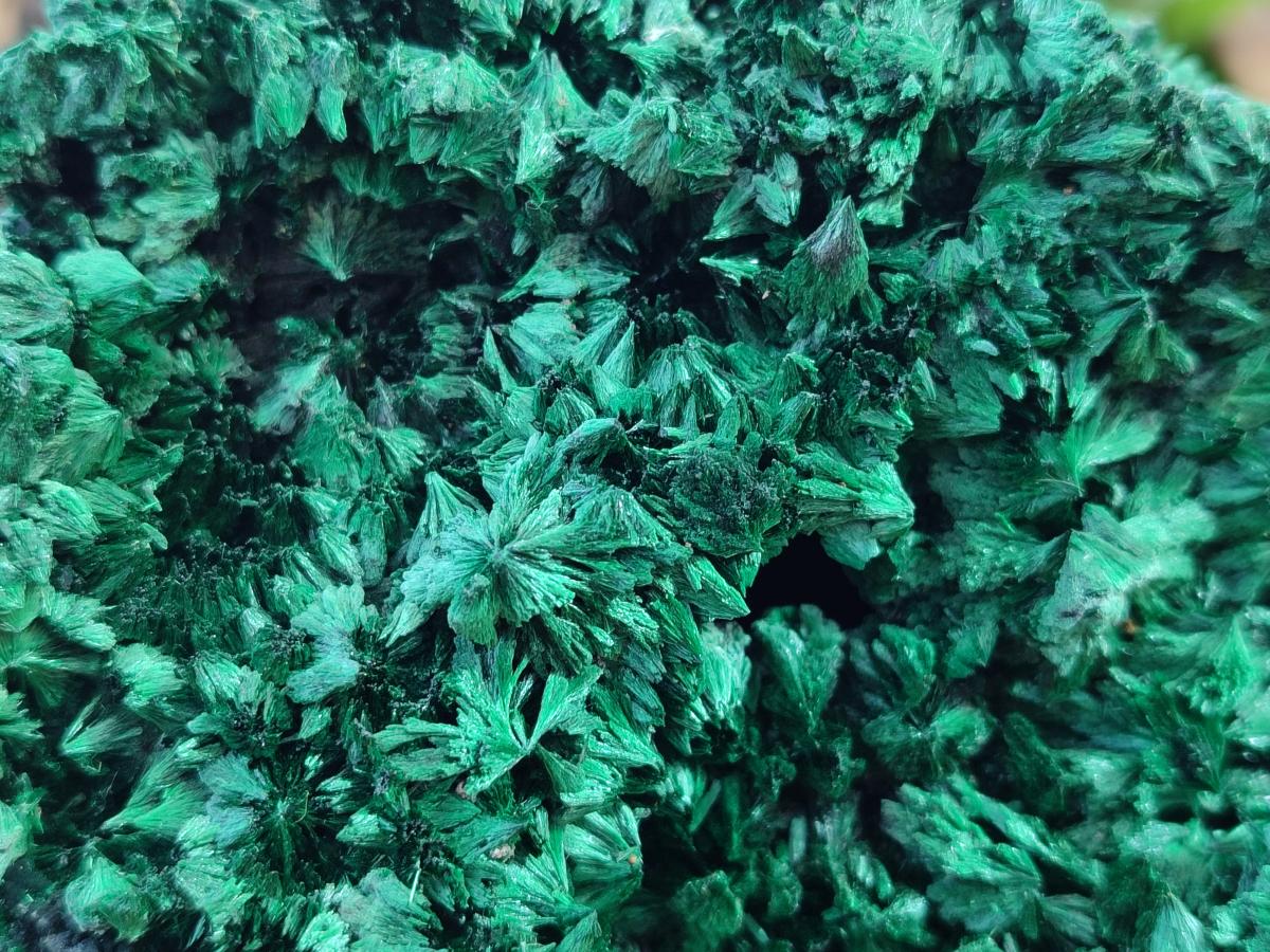 Natural Large Silky Malachite Specimen x 1 From Kasompe, Congo