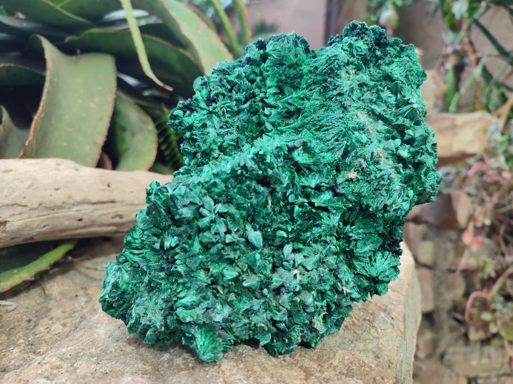 Natural Large Silky Malachite Specimen x 1 From Kasompe, Congo