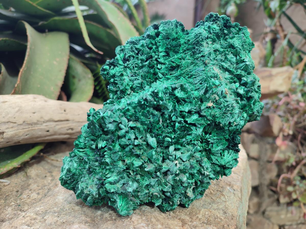 Natural Large Silky Malachite Specimen x 1 From Kasompe, Congo