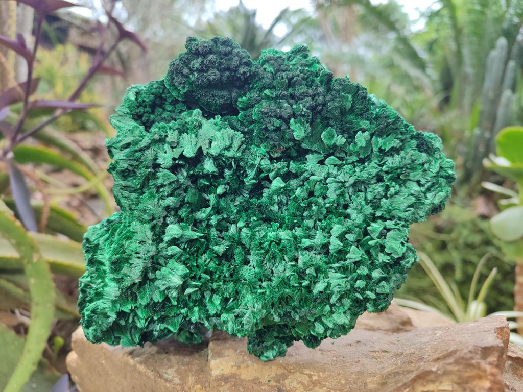 Natural Large Silky Malachite Specimen x 1 From Kasompe, Congo