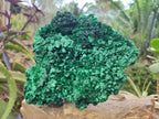 Natural Large Silky Malachite Specimen x 1 From Kasompe, Congo