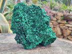 Natural Large Silky Malachite Specimen x 1 From Kasompe, Congo