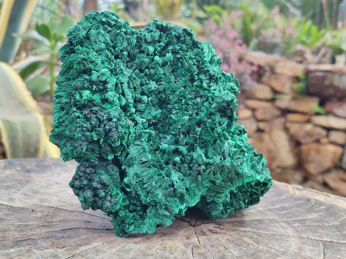 Natural Large Silky Malachite Specimen x 1 From Kasompe, Congo