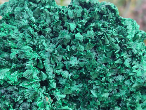 Natural Large Silky Malachite Specimen x 1 From Kasompe, Congo
