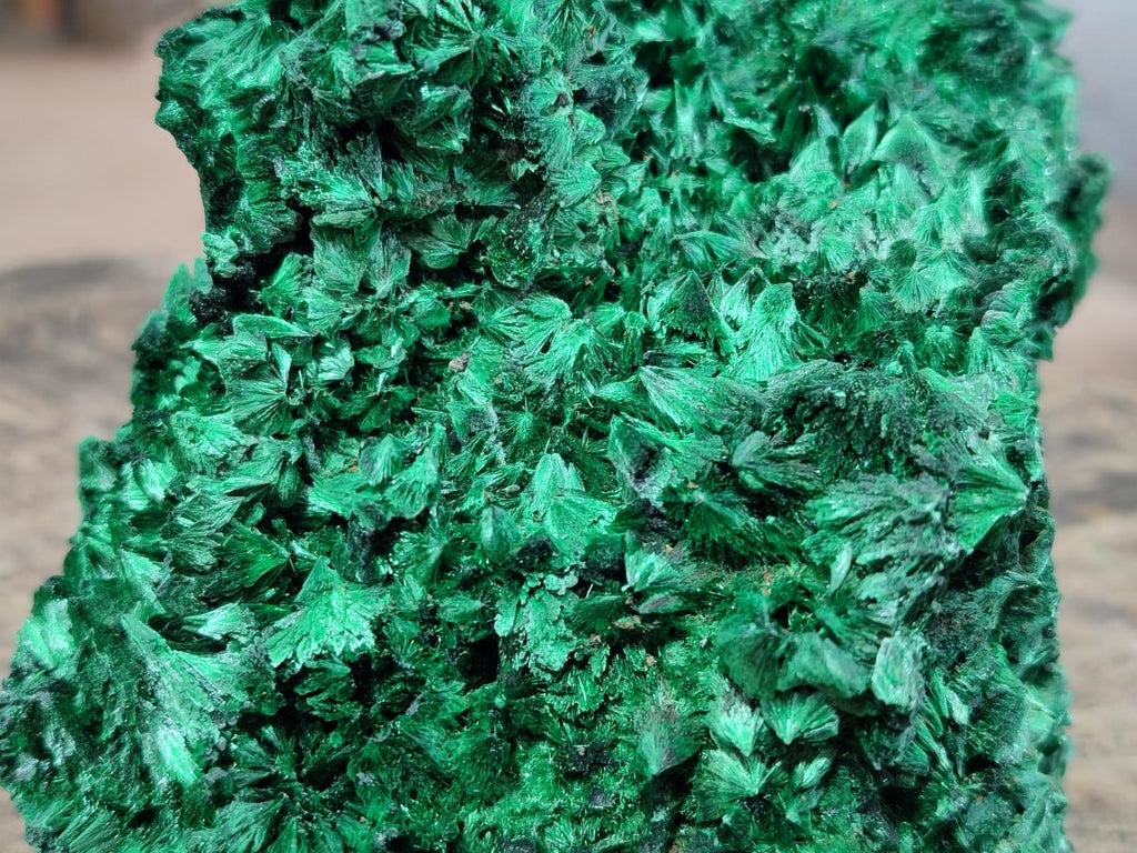 Natural Large Silky Malachite Specimen x 1 From Kasompe, Congo