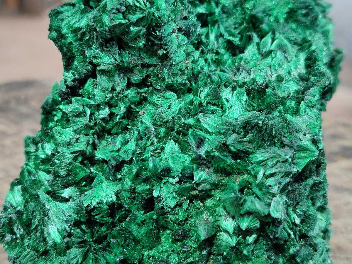 Natural Large Silky Malachite Specimen x 1 From Kasompe, Congo