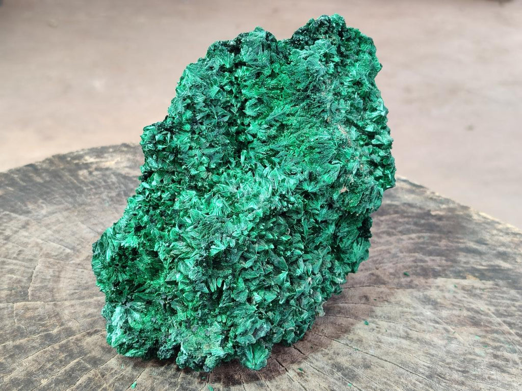 Natural Large Silky Malachite Specimen x 1 From Kasompe, Congo