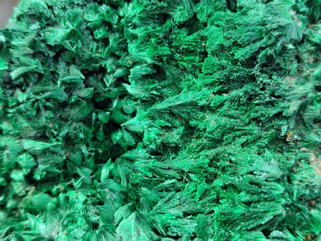 Natural Large Silky Malachite Specimen x 1 From Kasompe, Congo