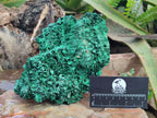 Natural Large Silky Malachite Specimen x 1 From Kasompe, Congo