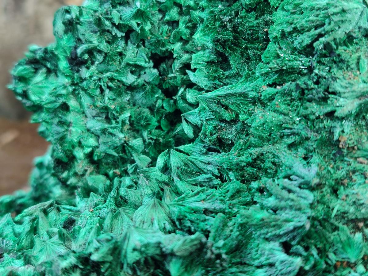 Natural Large Silky Malachite Specimen x 1 From Kasompe, Congo