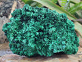 Natural Large Silky Malachite Specimen x 1 From Kasompe, Congo