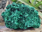 Natural Large Silky Malachite Specimen x 1 From Kasompe, Congo