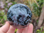 Polished Gabbro 'Merlinite' Spheres x 4 From Ambatofinandrahana, Madagascar