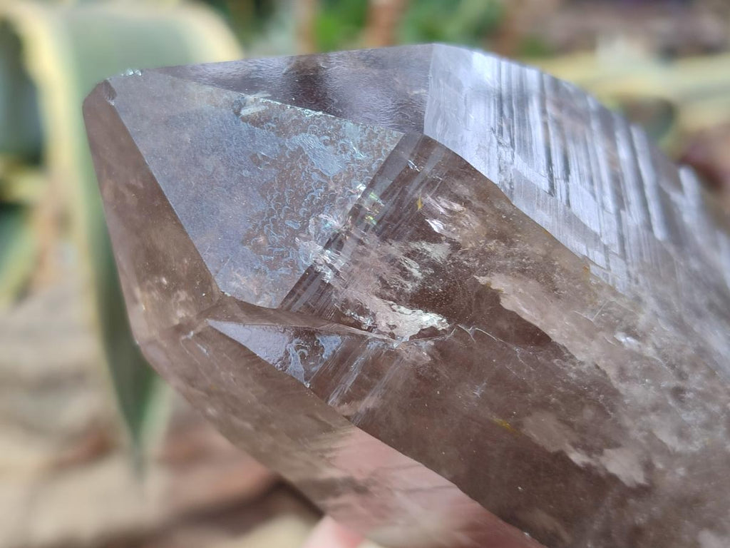 Natural Large Smokey Quartz Crystals x 3 From Erongo, Namibia