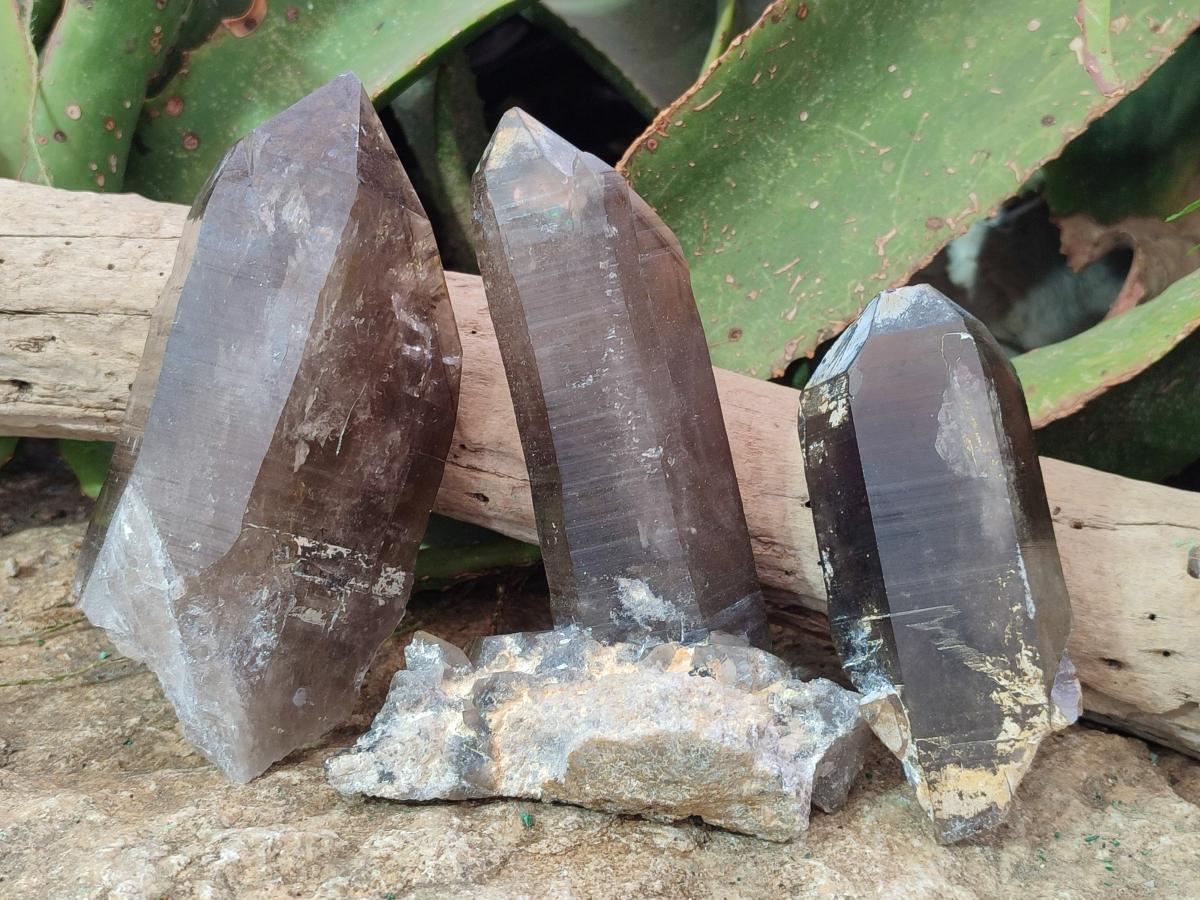 Natural Large Smokey Quartz Crystals x 3 From Erongo, Namibia