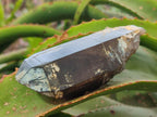Natural Large Smokey Quartz Crystals x 3 From Erongo, Namibia