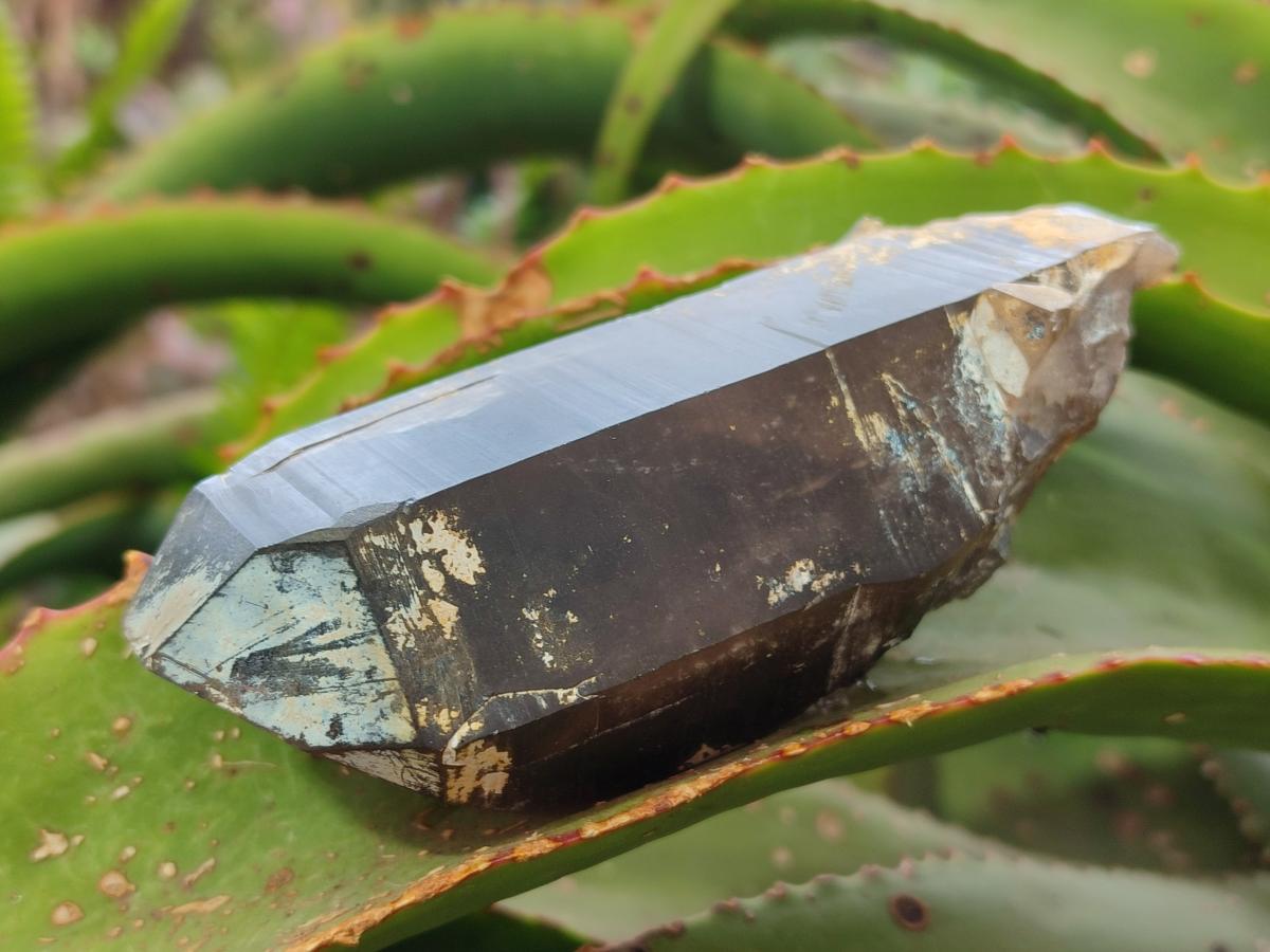 Natural Large Smokey Quartz Crystals x 3 From Erongo, Namibia