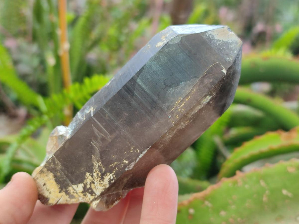 Natural Large Smokey Quartz Crystals x 3 From Erongo, Namibia