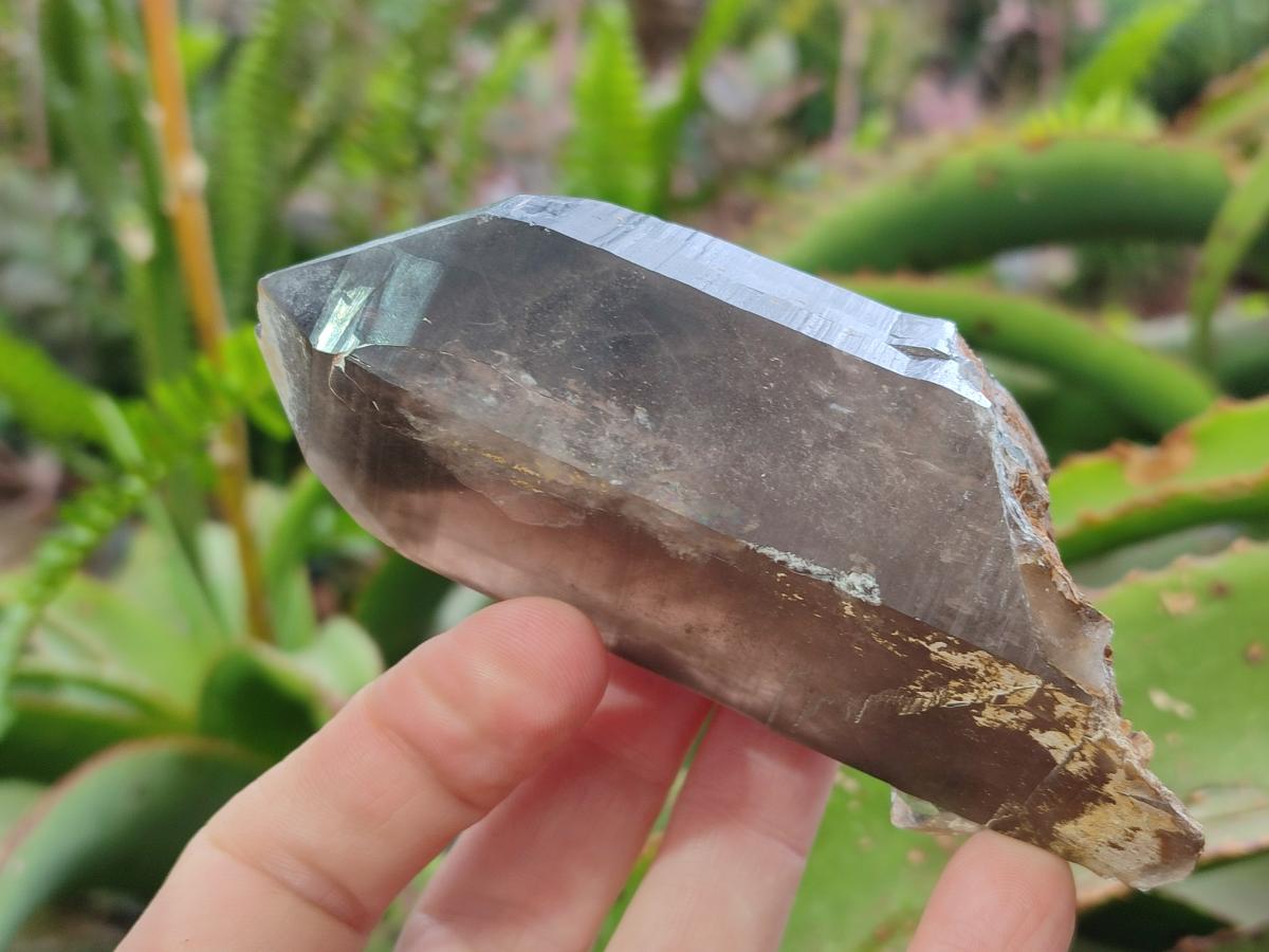 Natural Large Smokey Quartz Crystals x 3 From Erongo, Namibia