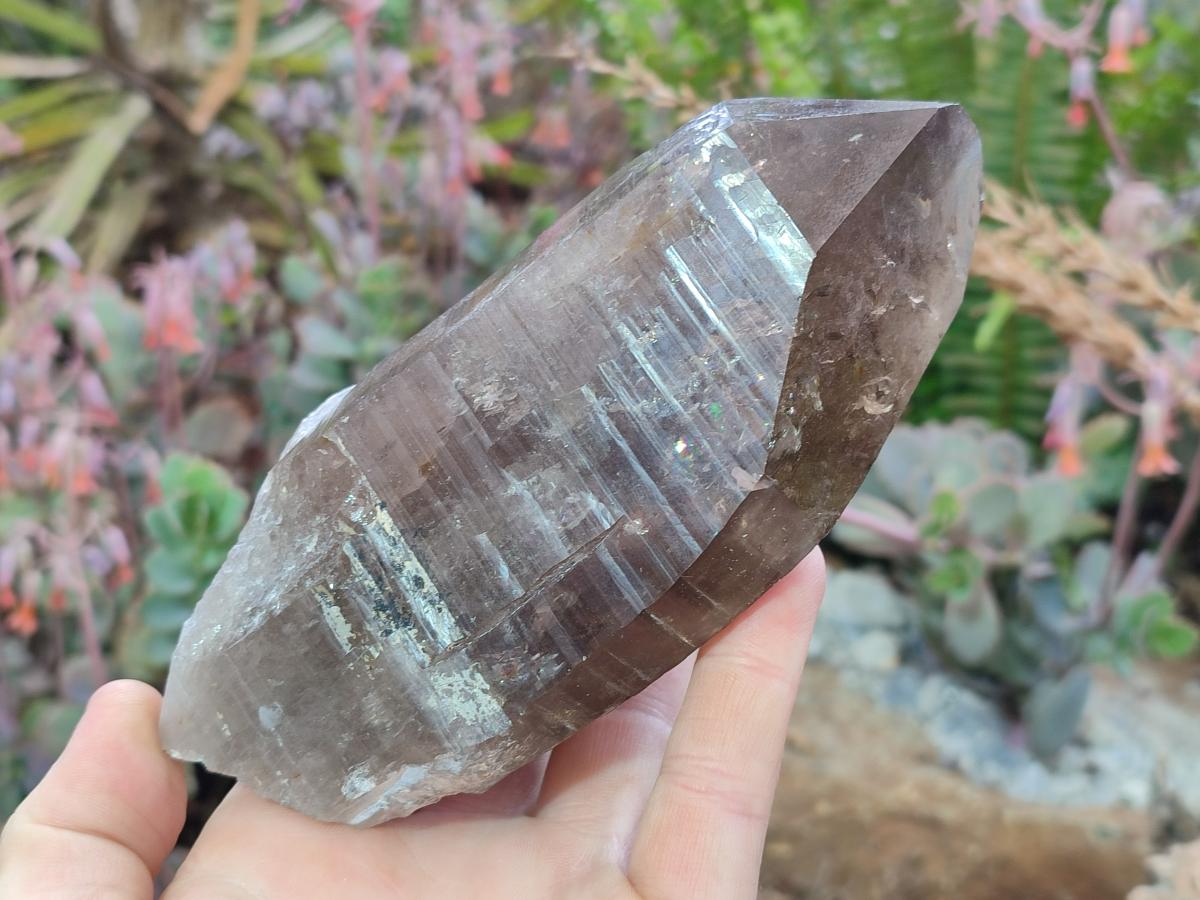 Natural Large Smokey Quartz Crystals x 3 From Erongo, Namibia