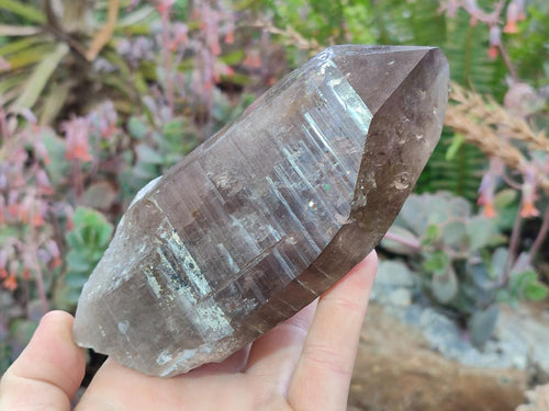 Natural Large Smokey Quartz Crystals x 3 From Erongo, Namibia