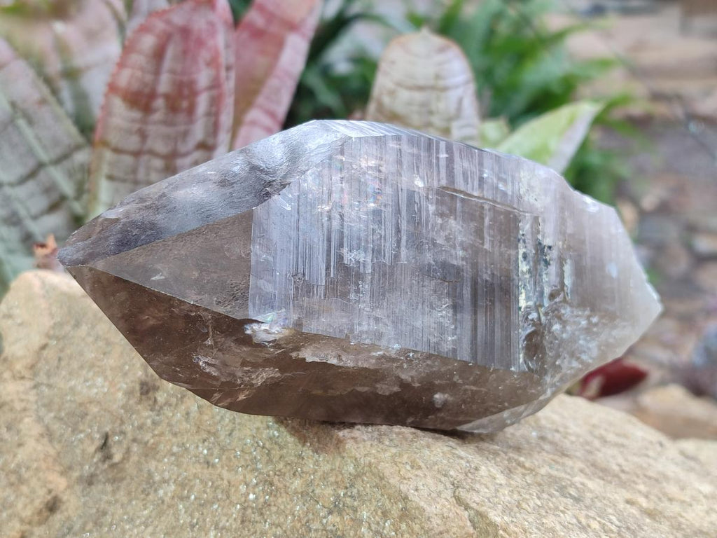 Natural Large Smokey Quartz Crystals x 3 From Erongo, Namibia