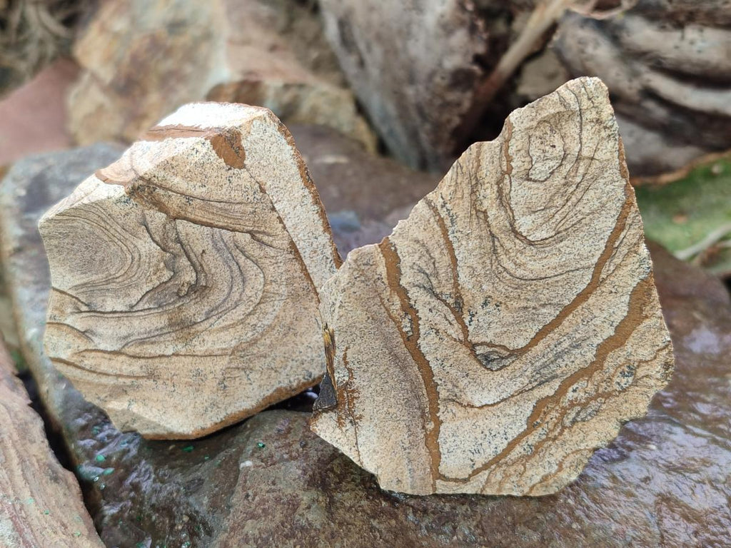 Natural Picture Stone Jasper Cobbed Specimens x 24 From Ais-Ais, Namibia