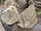 Natural Picture Stone Jasper Cobbed Specimens x 24 From Ais-Ais, Namibia