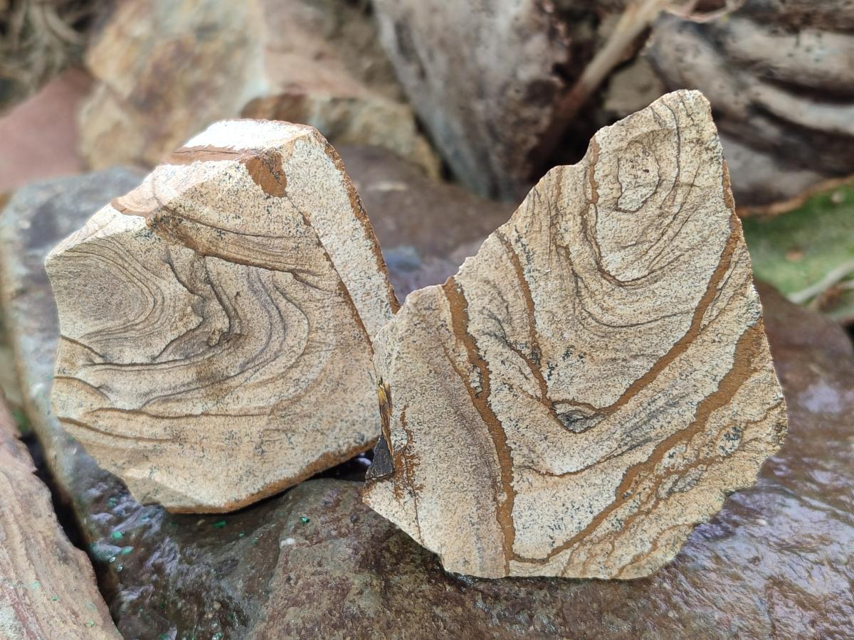 Natural Picture Stone Jasper Cobbed Specimens x 24 From Ais-Ais, Namibia