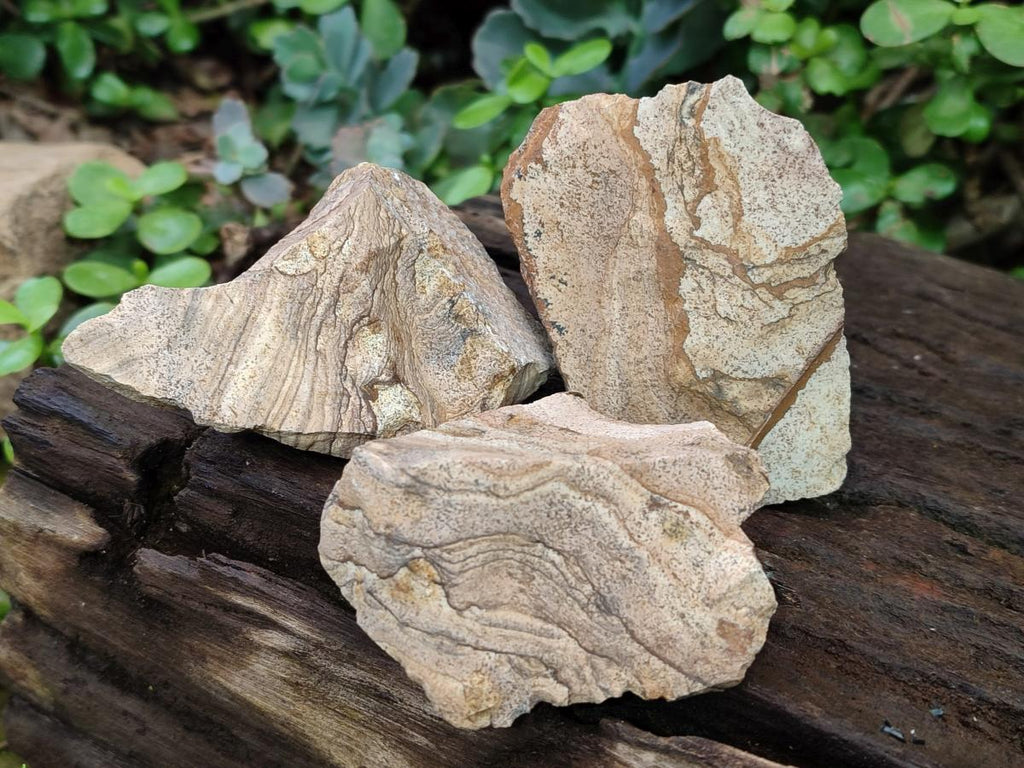 Natural Picture Stone Jasper Cobbed Specimens x 24 From Ais-Ais, Namibia