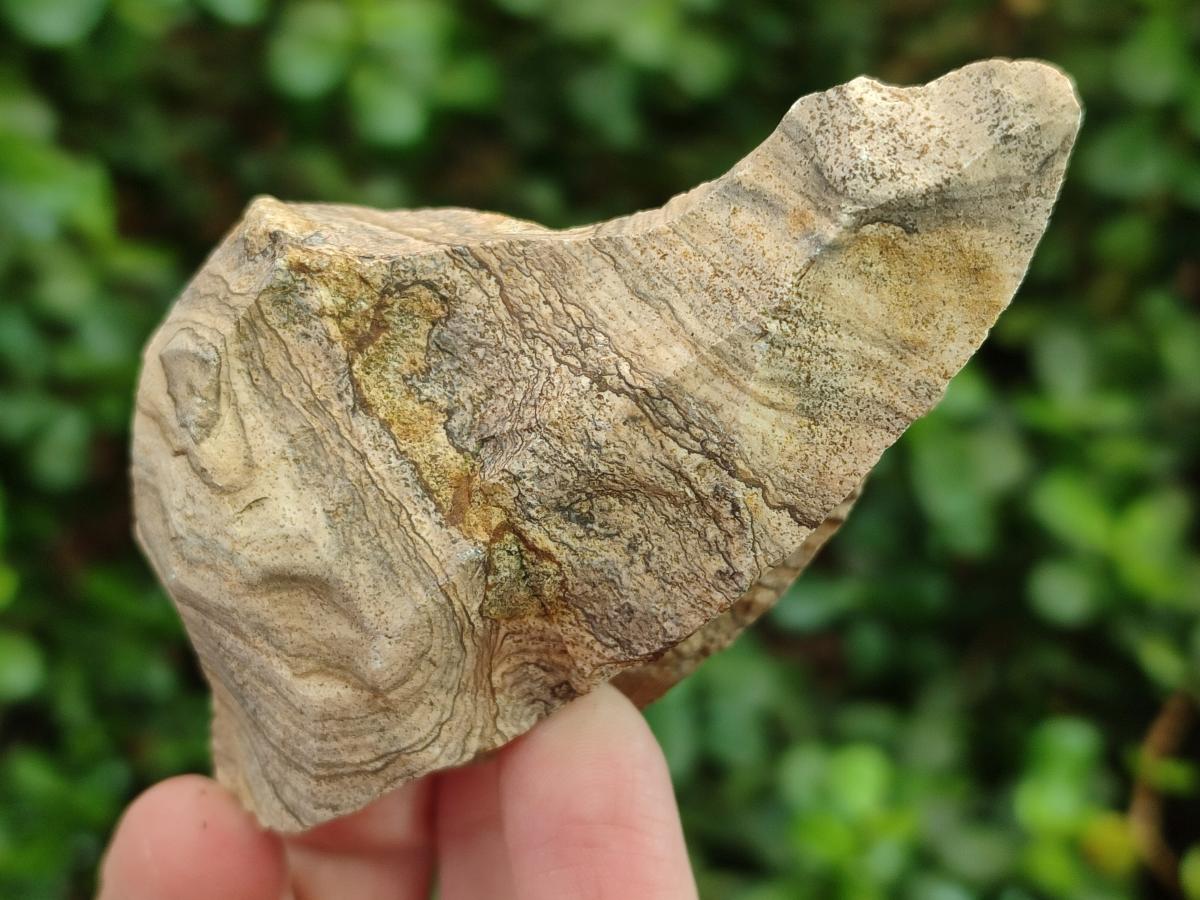 Natural Picture Stone Jasper Cobbed Specimens x 24 From Ais-Ais, Namibia