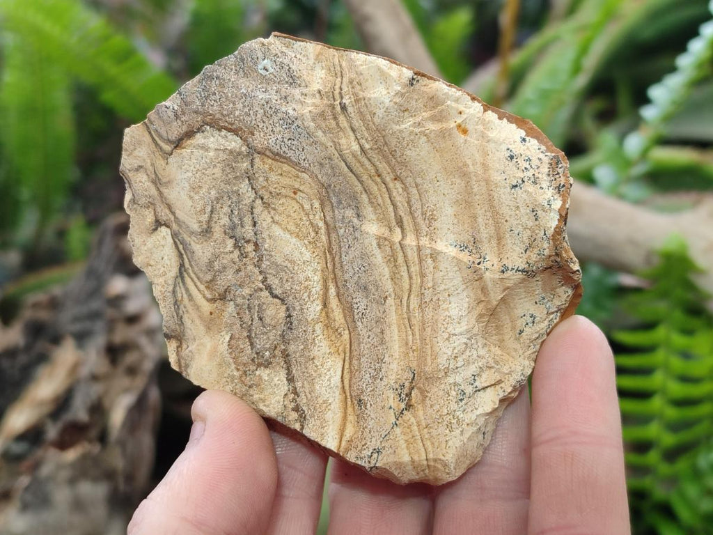Natural Picture Stone Jasper Cobbed Specimens x 24 From Ais-Ais, Namibia