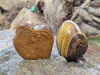 Polished Golden Tigers Eye Free Forms x 35 From Prieska, South Africa