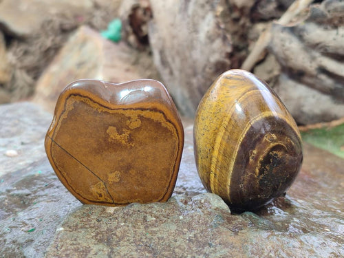 Polished Golden Tigers Eye Free Forms x 35 From Prieska, South Africa
